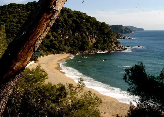 Appartement Lloret Sun Lloret de Mar